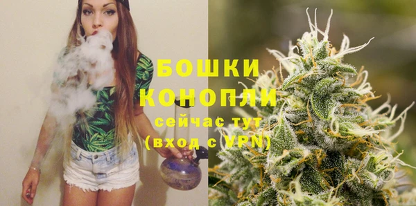 стафф Белокуриха