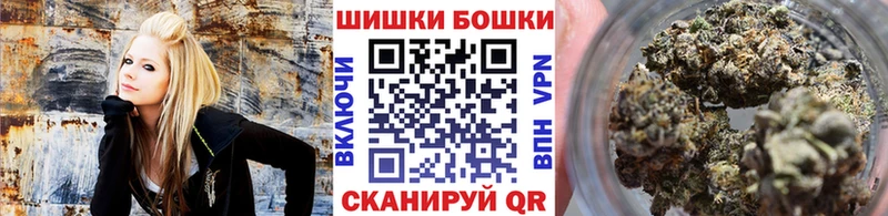 darknet как зайти  Севск  Конопля Bruce Banner  продажа наркотиков 